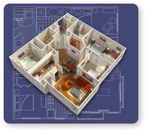 imagen 5